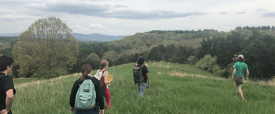 students walking through a field